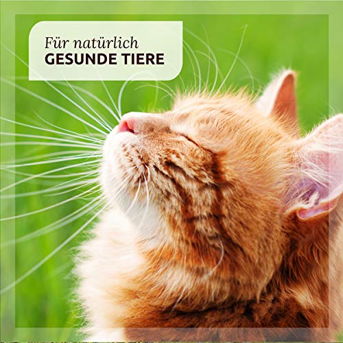 AniForte Wurm-Formel 25 g natürliche Einmalgabe für Katzen, Natur Pur, 100% Naturprodukt, Bei und Nach Wurmbefall, rein natürlich und außerordentlich schonend für die Tiere, Magen & Darm - 4