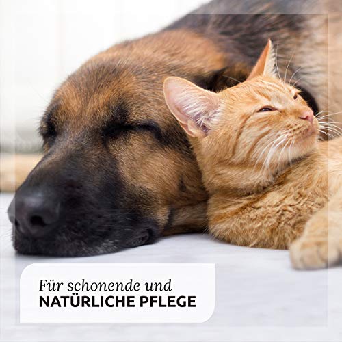 AniForte Ohrmilbenöl 20ml für Hunde, Katzen, Nagetiere und Haustiere, Sanfte Pflege und schnelle Lösung gegen Ohrmilben - 3