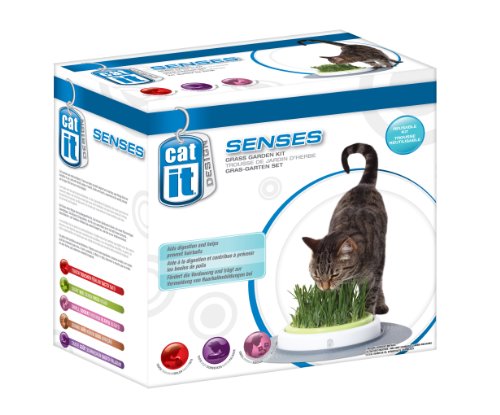 Catit Design Senses - Gras-GartenSet - 2