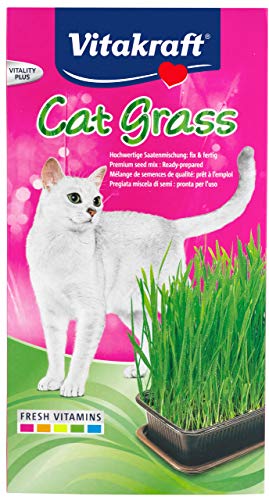 Vitakraft Cat Grass, Katzengras-Set, 1 Stück - 4
