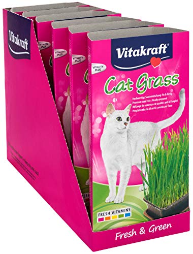 Vitakraft Cat Grass, Katzengras-Set, 1 Stück - 7