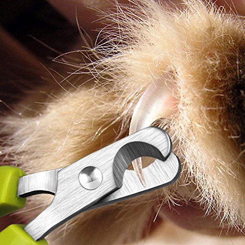 Ewolee Professionelle Katze Nagelknipser Nagelschere, Ideal für kleine Hunde, Welpen, Katzen, Hasen und Meerschweinchen - 6