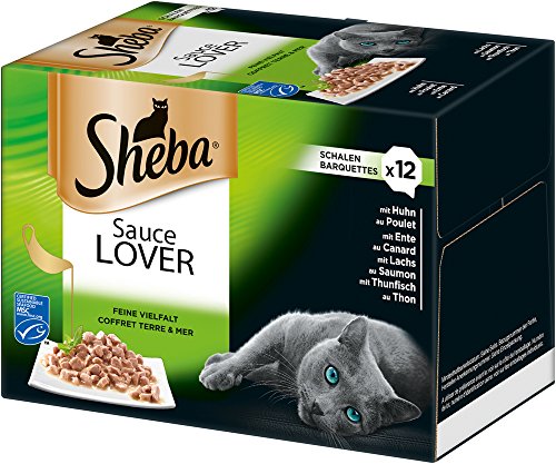 Sheba Adult Katzen-/Nassfutter Multipack, 72 Schalen