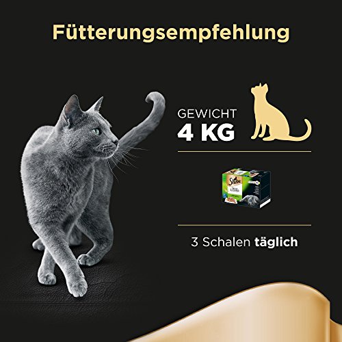 Sheba Adult Katzen-/Nassfutter Multipack, für erwachsene Katzen Sauce Lover in Sauce, 72 Schalen (6 x 12 x 85 g) - 4