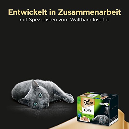 Sheba Adult Katzen-/Nassfutter Multipack, für erwachsene Katzen Sauce Lover in Sauce, 72 Schalen (6 x 12 x 85 g) - 6