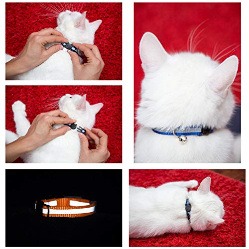 Bemix Pets ⚡Reflektierendes Katzenhalsband mit Glocke, 6er Set, Robust, Nylon, Coole Halsbänder für Hauskatzen - 5