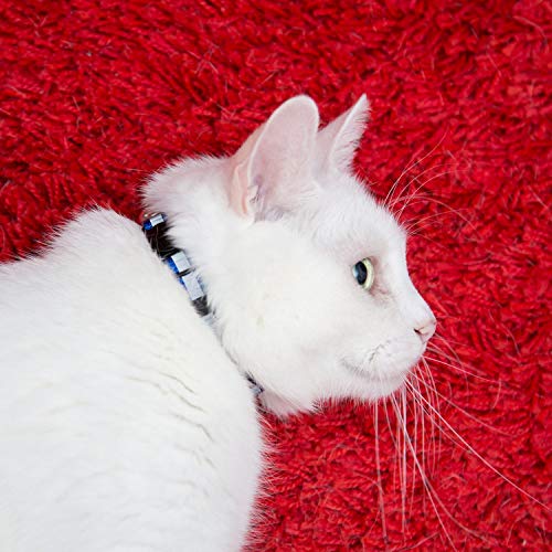 Bemix Pets ⚡Reflektierendes Katzenhalsband mit Glocke, 6er Set, Robust, Nylon, Coole Halsbänder für Hauskatzen - 6