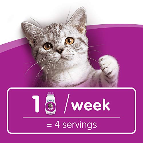 Whiskas Katzenfutter Katzenmilch, 6 Flaschen (6 x 200 ml) - 2