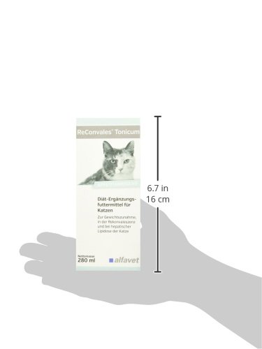 Alfavet ReConvales® Tonicum Katze 280 ml Diät-Ergänzungsfuttermittel zur Gabe in der Rekonvaleszenz, bei Untergewicht und bei der hepatischen Lipidose der Katze - 7