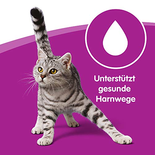 Whiskas Katzen-/Nassfutter Senior 7+ Geflügelauswahl in Sauce, 48 Portionsbeutel (4 x 12 x 100g) - 3