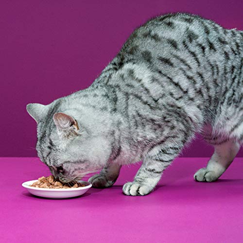 Whiskas Katzen-/Nassfutter Senior 7+ Geflügelauswahl in Sauce, 48 Portionsbeutel (4 x 12 x 100g) - 6