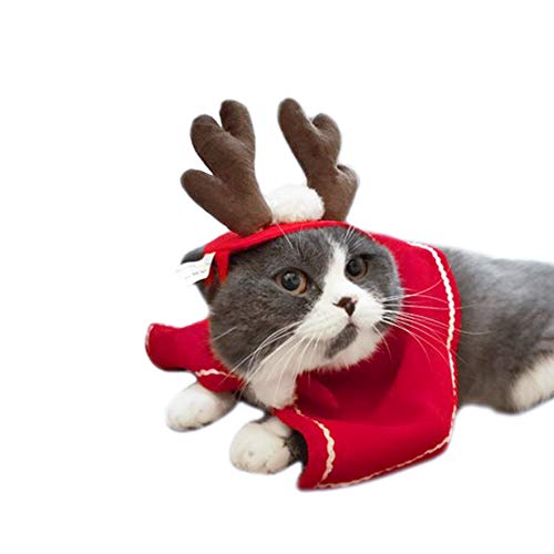 Katze Weihnachtskostüm Outfit 4 Stk. Katze Haustier Hund Kleidung, Rentier Stirnbänder Roter Kostüm Anzug Niedlich Weihnachtsmütze & Schal Niedlich, Lustiger Haustier Hoodie Mantel für kleine Haustier - 3