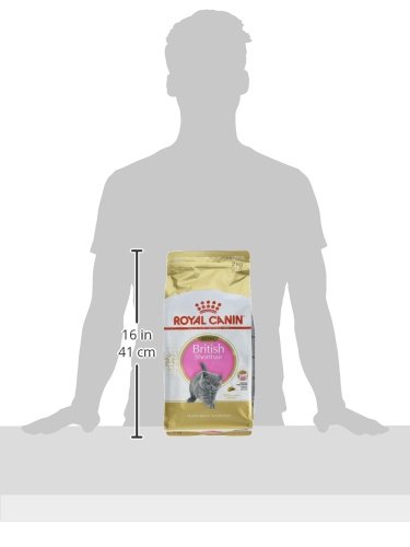 Royal Canin KITTEN British Shorthair Katzenfutter 2 kg, 1er Pack (1 x 2 kg) - 4