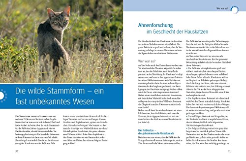 Was Katzen wirklich wollen (GU Tier Spezial) - 5