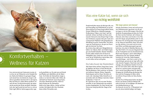 Was Katzen wirklich wollen (GU Tier Spezial) - 7