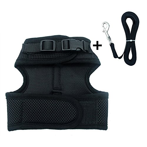 Bingpet Katzengeschirr und -leine, ausbruchsicher, einstellbarer, weicher Netz-Holster – ideal für das Ausführen kleiner Kätzchen - 3
