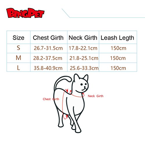 Bingpet Katzengeschirr und -leine, ausbruchsicher, einstellbarer, weicher Netz-Holster – ideal für das Ausführen kleiner Kätzchen - 4
