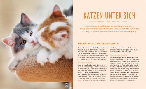 Katzensprache: Kätzisch für Zweibeiner - 4