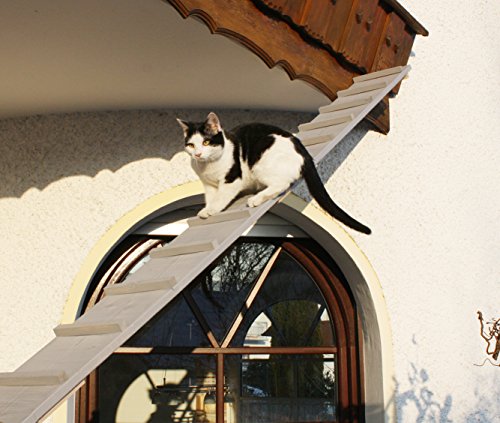 Elmato Katzentreppe Balkonkatzentreppe Katzenleiter wetterfest lackiert (3 Meter) - 3