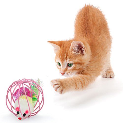 Legendog Katzenspielzeug, interaktives Spielzeug der Katzenminze des Glases kreatives Katzenglas-Fensterbrett-Saugerkatzenspielzeug (20PCS-Katzenspielzeug) - 4