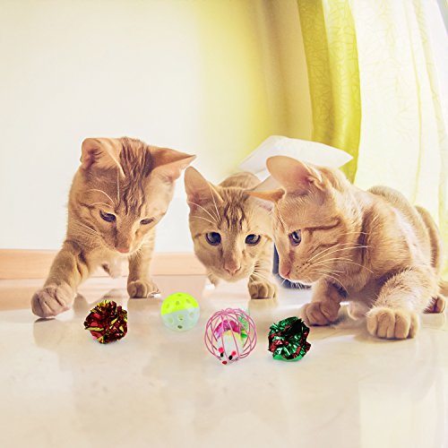 Legendog Katzenspielzeug, interaktives Spielzeug der Katzenminze des Glases kreatives Katzenglas-Fensterbrett-Saugerkatzenspielzeug (20PCS-Katzenspielzeug) - 5