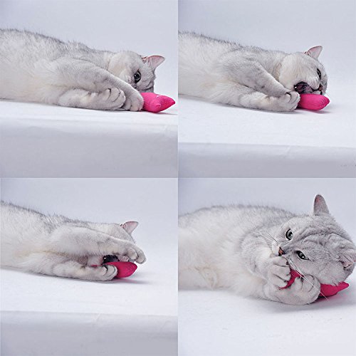 Legendog Katzenspielzeug, interaktives Spielzeug der Katzenminze des Glases kreatives Katzenglas-Fensterbrett-Saugerkatzenspielzeug (20PCS-Katzenspielzeug) - 8