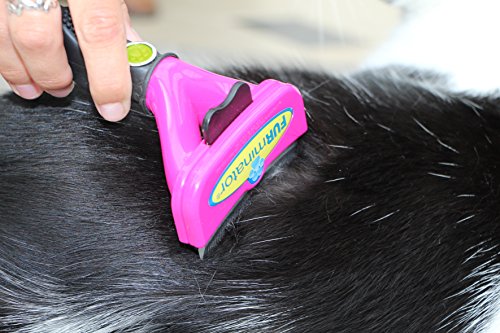 FURminator FURflex, Fellpflegebürste für große Katzen, deShedding-Tool zur Entfernung der Unterwolle, Größe L - 3