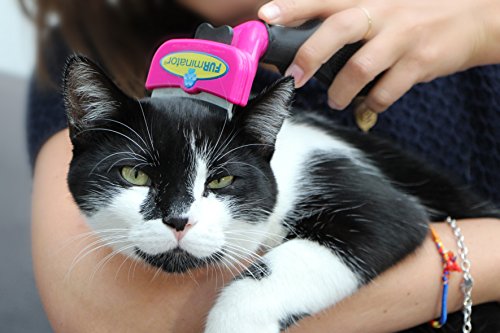 FURminator FURflex, Fellpflegebürste für große Katzen, deShedding-Tool zur Entfernung der Unterwolle, Größe L - 4