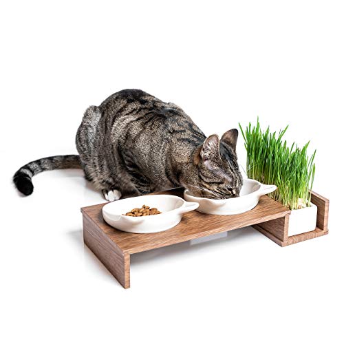 CanadianCat Company ® | Futterbar Cat Diner für Katzen mit dritter Schale für z.B. Katzengras o. Trockenfutter im Holzoptikständer Napf, Fressnapf, Futterschale - 6