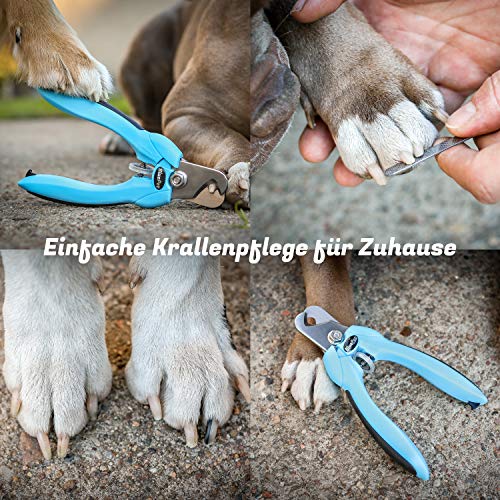Bluepet KrallenSchön Profi Krallenschere | Hunde, Katzen & Kleintiere | Krallenzange + Krallenfeile - 5
